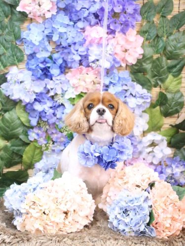 20250620ルディくん